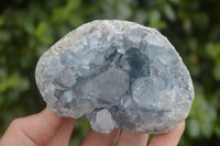 Natural Blue Celestite Crystal Specimens  x 2 From Sakoany, Madagascar - Toprock Gemstones and Minerals 