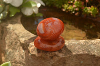 Polished Mini Carnelian Agate Palm Stones  x 35 From Madagascar - TopRock