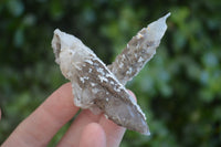 Natural Drusy Quartz Coated Calcite Spearhead Crystal Specimens  x 12 From Alberts Mountain, Lesotho - Toprock Gemstones and Minerals 