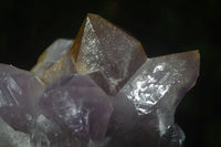 Natural Jacaranda Amethyst Clusters  x 3 From Mumbwa, Zambia - Toprock Gemstones and Minerals 