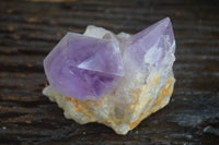 Natural Single Jacaranda Amethyst Crystals  x 6 From Mumbwa, Zambia - Toprock Gemstones and Minerals 