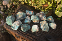 Natural Blue Shattuckite Specimens x 12 From Kaokoveld, Namibia