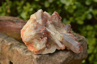 Natural Red Hematoid Phantom Quartz Clusters  x 3 From Karoi, Zimbabwe - TopRock