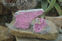 Natural Salrose Cobaltion Dolomite Specimens x 3 From Kakanda, Congo