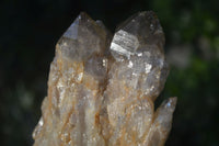 Natural Cascading White Phantom Smokey Quartz Clusters  x 3 From Luena, Congo - Toprock Gemstones and Minerals 