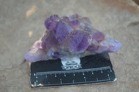 Natural Dark Purple Amethyst Crystal Clusters  x 6 From Zambia - Toprock Gemstones and Minerals 