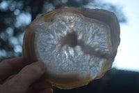 Polished Gorgeous Banded Agate Slices  x 6 From Madagascar - Toprock Gemstones and Minerals 