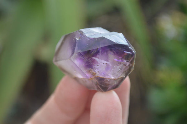 Natural New Window Amethyst Crystals  x 12 From KZN, South Africa - Toprock Gemstones and Minerals 