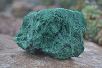 Natural Chatoyant Silky Malachite Specimens  x 7 From Kasompe, Congo