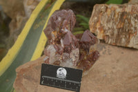 Natural Large Red Hematoid Phantom Quartz Cluster  x 1 From Karoi, Zimbabwe - TopRock