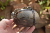 Polished Septerye Sauvage "Dragon" Eggs x 2 From Mahajanga, Madagascar - TopRock