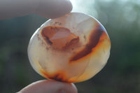 Polished Carnelian Agate Palm Stones  x 12 From Madagascar - Toprock Gemstones and Minerals 