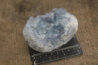 Natural Blue Celestite Crystal Specimens  x 2 From Sakoany, Madagascar - Toprock Gemstones and Minerals 