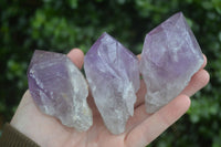 Natural Single Jacaranda Amethyst Crystals  x 6 From Mumbwa, Zambia - Toprock Gemstones and Minerals 