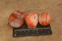 Polished Mini Carnelian Agate Palm Stones  x 35 From Madagascar - TopRock