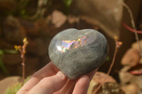 Polished Purple Flash Labradorite Hearts x 6 From Tulear, Madagascar - TopRock