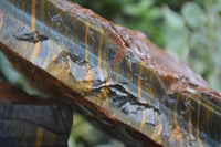 Natural Golden Blue Tigers Eye Specimens  x 2 From Prieska, South Africa - TopRock