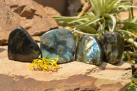 Polished Blue Flash Labradorite Standing Free Forms  x 4 From Tulear, Madagascar - TopRock