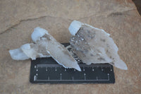 Natural Drusy Quartz Coated Calcite Spearhead Crystal Specimens  x 12 From Alberts Mountain, Lesotho - Toprock Gemstones and Minerals 