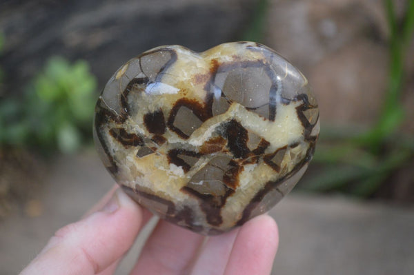 Polished Septaria (Calcite & Aragonite) Hearts  x 6 From Mahajanga, Madagascar