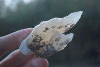 Natural Drusy Quartz Coated Calcite Spearhead Crystal Specimens  x 12 From Alberts Mountain, Lesotho - Toprock Gemstones and Minerals 