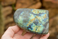 Polished Labradorite Standing Free Forms With Intense Blue & Gold Flash x 3 From Tulear, Madagascar - TopRock