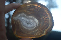 Polished Gorgeous Banded Agate Slices  x 6 From Madagascar - Toprock Gemstones and Minerals 