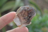 Natural New Window Amethyst Crystals  x 12 From KZN, South Africa - Toprock Gemstones and Minerals 