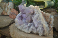 Natural Jacaranda Amethyst Cluster x 1 From Mumbwa, Zambia - TopRock