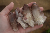 Natural Red Hematoid Quartz Specimens x 24 From Karoi, Zimbabwe - TopRock