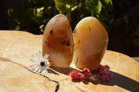 Polished Semi Translucent Dendritic Agate Standing Free Forms  x 2 From Moralambo, Madagascar - TopRock