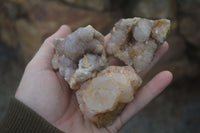 Natural Mixed Spirit Quartz Clusters  x 12 From Boekenhouthoek, South Africa - Toprock Gemstones and Minerals 