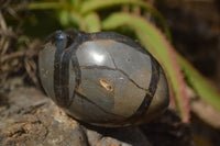 Polished Septerye Sauvage "Dragon" Eggs x 2 From Mahajanga, Madagascar - TopRock