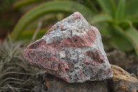 Natural Rough Red Rhodonite Specimens  x 6 From Zimbabwe - TopRock