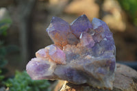 Natural Dark Purple Amethyst Crystal Clusters  x 6 From Zambia - Toprock Gemstones and Minerals 