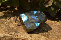 Polished Blue Flash Labradorite Standing Free Forms  x 4 From Tulear, Madagascar - TopRock