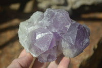 Natural Jacaranda Amethyst Clusters  x 3 From Mumbwa, Zambia - Toprock Gemstones and Minerals 