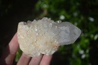 Natural Cascading Window Quartz Crystal Formations  x 6 From Madagascar - Toprock Gemstones and Minerals 