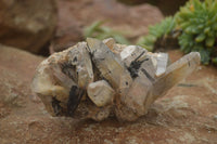 Natural Schorl Black Tourmaline & Smokey Quartz Specimens x 2 From Erongo Mountains, Namibia - TopRock