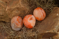 Polished Mini Carnelian Agate Palm Stones  x 35 From Madagascar - TopRock