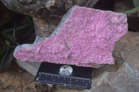 Natural Salrose Cobaltion Dolomite Specimens x 3 From Kakanda, Congo