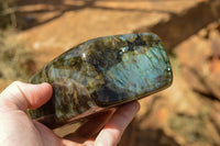 Polished Labradorite Standing Free Forms With Blue & Gold Flash  x 2 From Tulear, Madagascar - TopRock