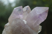 Natural Jacaranda Amethyst Crystal Clusters  x 3 From Mumbwa, Zambia - Toprock Gemstones and Minerals 