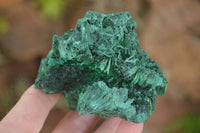 Natural Chatoyant Silky Malachite Specimens  x 3 From Congo