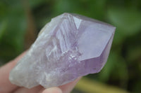 Natural Single Jacaranda Amethyst Crystals  x 6 From Mumbwa, Zambia - Toprock Gemstones and Minerals 