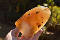 Polished Semi Translucent Dendritic Agate Standing Free Forms  x 2 From Moralambo, Madagascar - TopRock