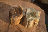 Polished  One Sided Petrified Wood Branch Segments x 2 From Gokwe, Zimbabwe - Toprock Gemstones and Minerals 