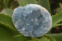 Natural Blue Celestite Crystal Specimens  x 2 From Sakoany, Madagascar - Toprock Gemstones and Minerals 