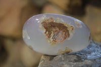 Polished River Agate Palm Stones  x 16 From Sashe River, Zimbabwe