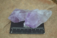 Natural Single Jacaranda Amethyst Crystals  x 6 From Mumbwa, Zambia - Toprock Gemstones and Minerals 